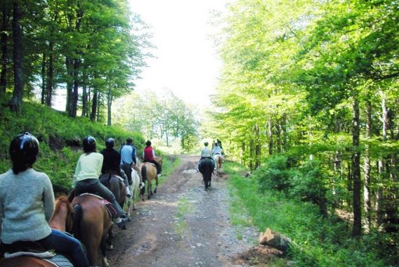 Hameau de chalets de la Chazotte Auvernia - Saint-Jacques-d'Ambur visuel 3/8 Hameau de chalets de la Chazotte Auvernia - Saint-Jacques-d'Ambur visuel 3/8