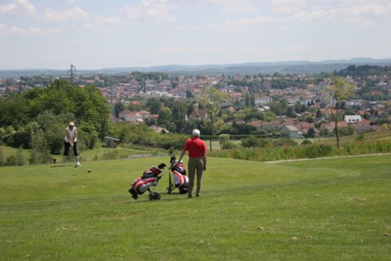 Hameau de Gîtes Lorena - Sarrebourg visuel 6/9