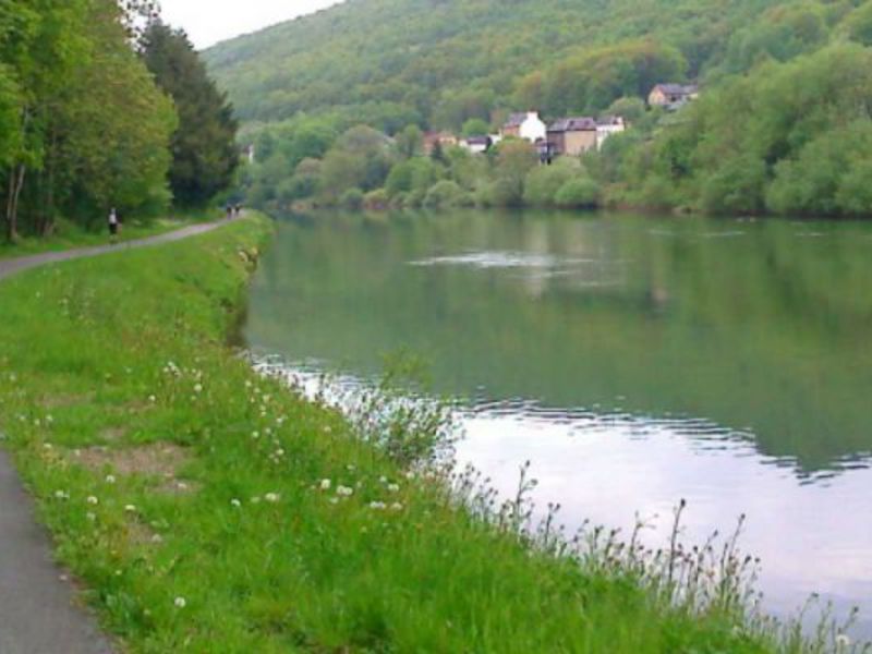 Haulmé Champaña-Ardenas - Haulmé visuel 7/7 Haulmé Champaña-Ardenas - Haulmé visuel 7/7