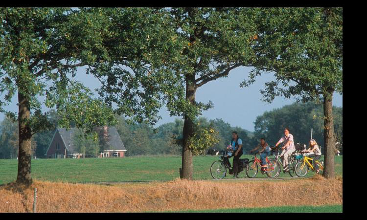 het Wieskamp Güeldres - Henxel visuel 2/4