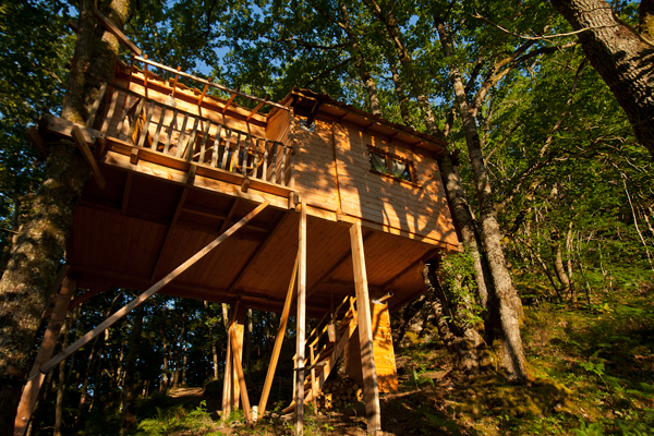 Hêtre sous le Charme Limosín - Saint-Martial-Entraygues visuel 3/10