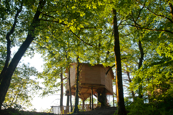 Hêtre sous le Charme Limosín - Saint-Martial-Entraygues visuel 4/10
