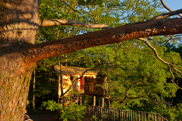 Hêtre sous le Charme Limosín - Saint-Martial-Entraygues visuel 5/10
