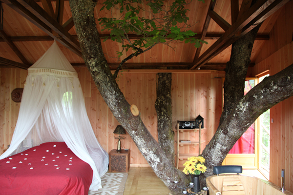 Hêtre sous le Charme Limosín - Saint-Martial-Entraygues visuel 6/10