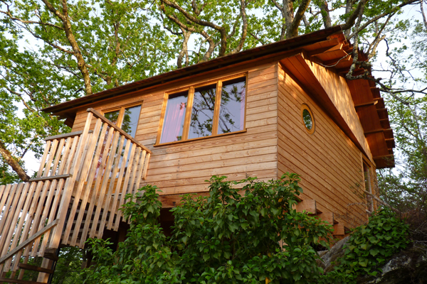 Hêtre sous le Charme Limosín - Saint-Martial-Entraygues visuel 7/10