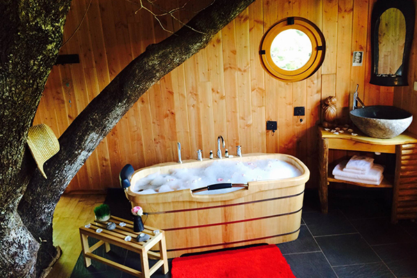 Hêtre sous le Charme Limosín - Saint-Martial-Entraygues visuel 8/10