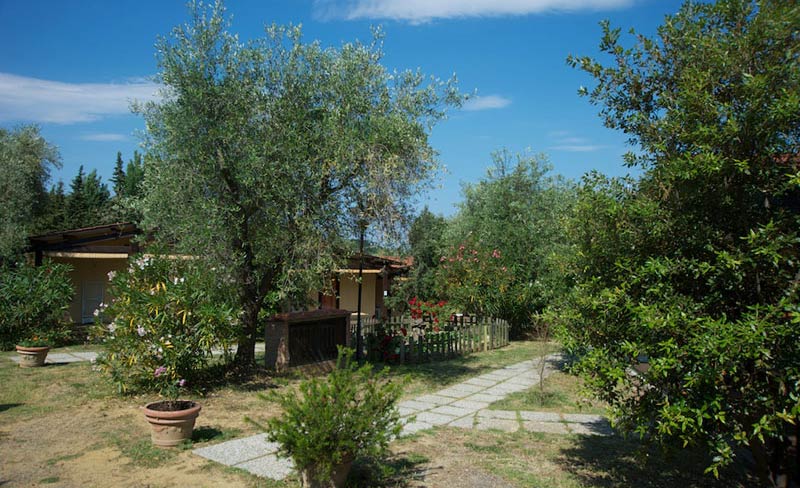 Il Fontino Toscana - Scarlino visuel 5/10 Il Fontino Toscana - Scarlino visuel 5/10