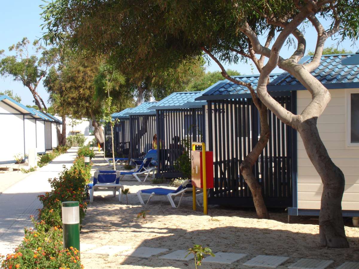 Ilha de Armona Algarve - Olhão visuel 6/6