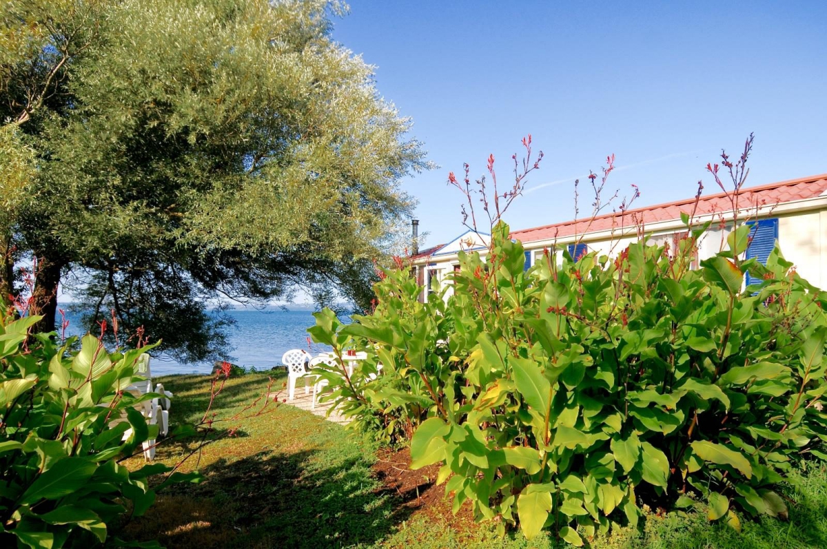 Internazionale di Bracciano Lacio - Trevignano Romano visuel 11/11