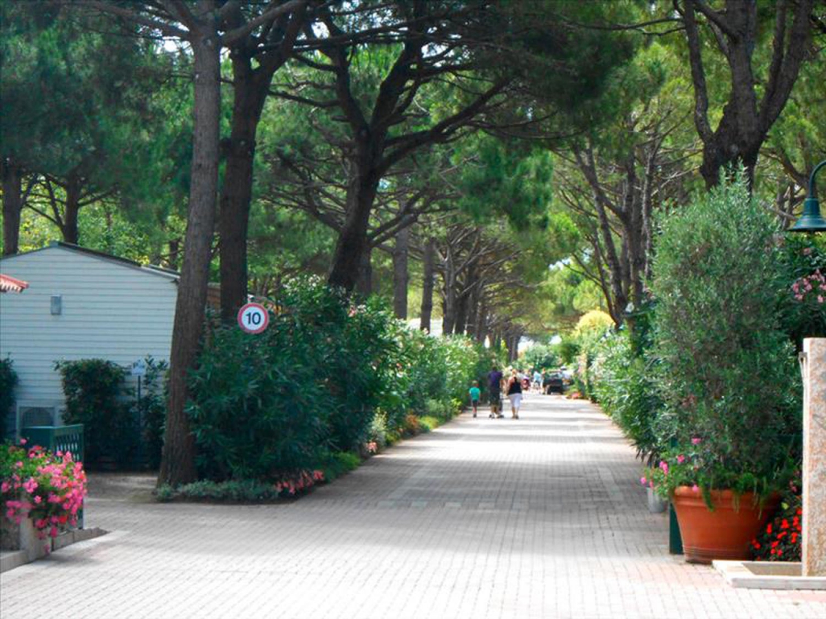 Italy Véneto - Cavallino Treporti visuel 6/10 Italy Véneto - Cavallino Treporti visuel 6/10