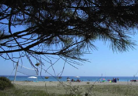 Kalypso Córcega - Santa-Maria-Poggio visuel 1/1