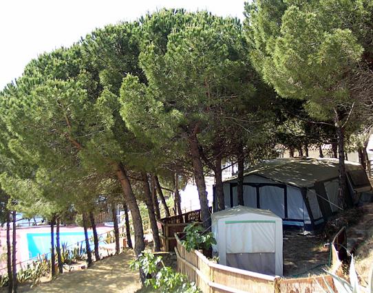 Kanguro Costa Brava - Sant Pol de Mar visuel 6/11