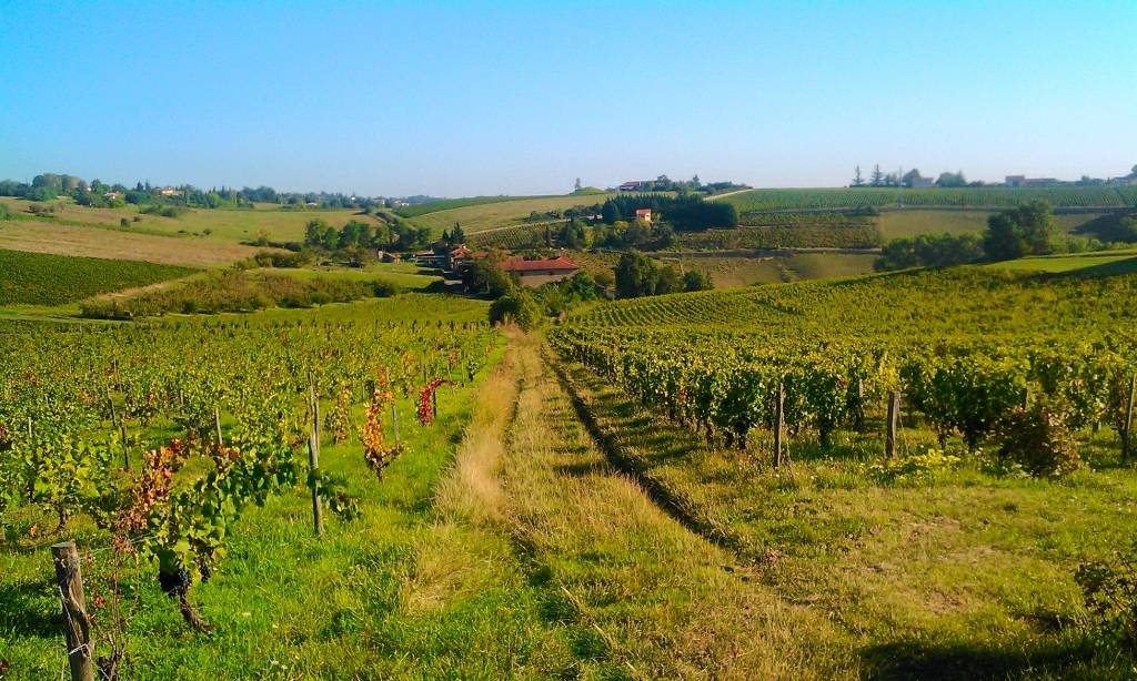 Kanôpée Village Ródano-Alpes - Trévoux visuel 10/15 Kanôpée Village Ródano-Alpes - Trévoux visuel 10/15