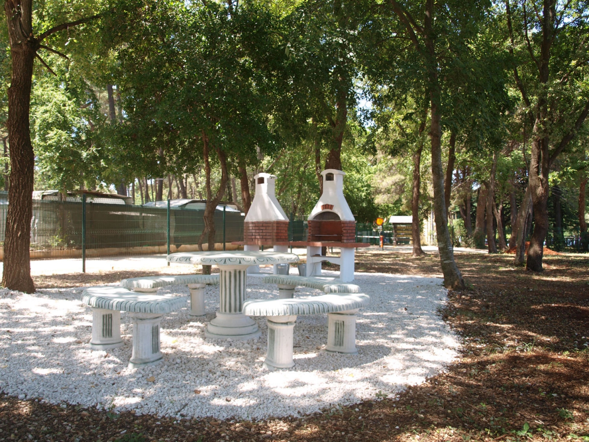 Kastanija Istria - Novigrad visuel 5/10