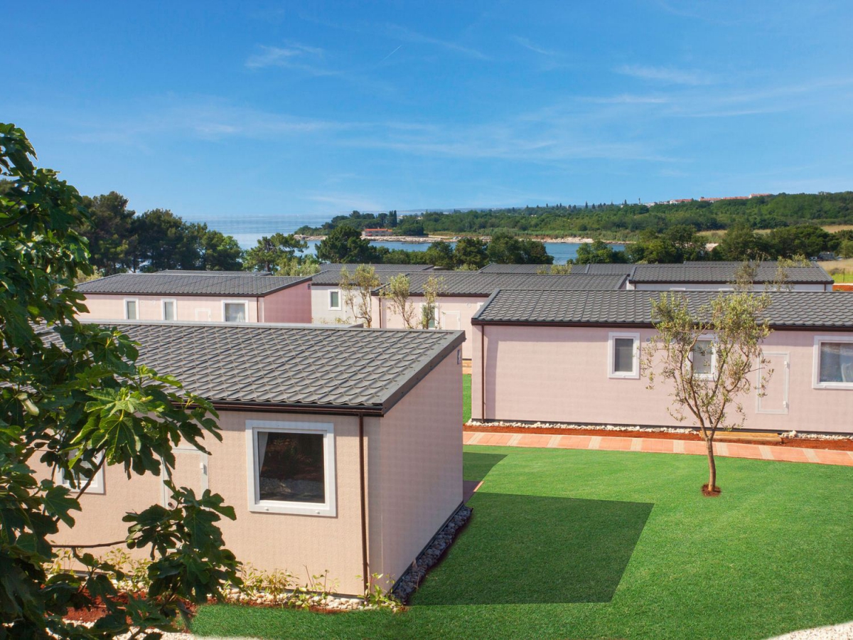 Kastanija Istria - Novigrad visuel 7/10