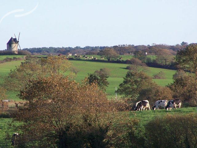 Kernéjeune Bretaña - Arzal visuel 7/11
