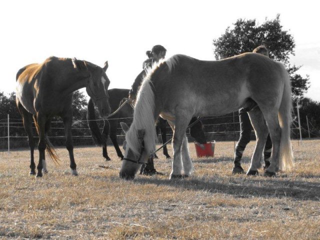 Kernéjeune Bretaña - Arzal visuel 10/11