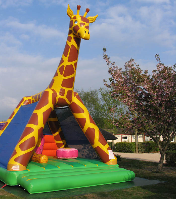 La Baie de Douarnenez Bretaña - Poullan-sur-Mer visuel 4/10