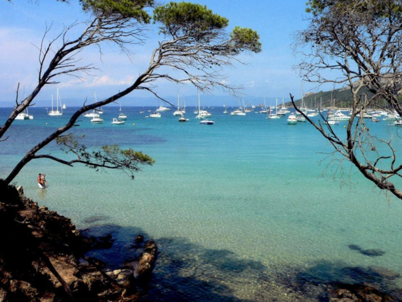 La Bergerie Plage Provenza-Alpes-Costa Azul - Hyères visuel 1/7 La Bergerie Plage Provenza-Alpes-Costa Azul - Hyères visuel 1/7