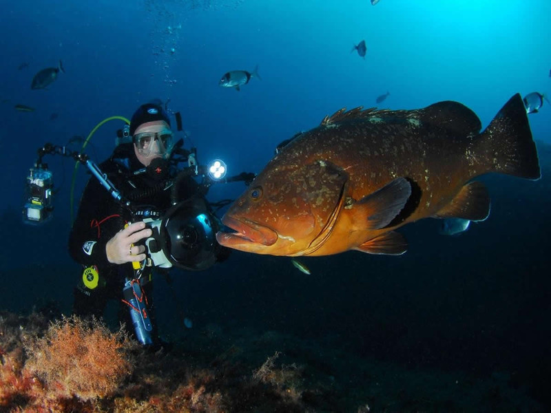 La Bergerie Plage Provenza-Alpes-Costa Azul - Hyères visuel 7/7 La Bergerie Plage Provenza-Alpes-Costa Azul - Hyères visuel 7/7