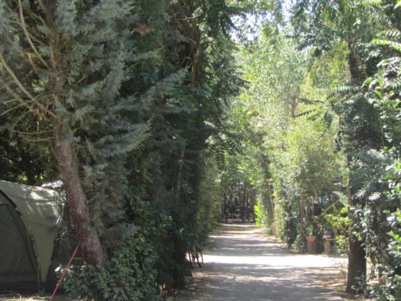 La Capea Castilla y León - Salamanque visuel 4/4