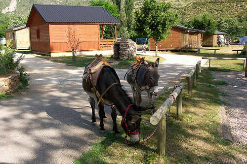 La Cascade Languedoc-Rosellón - Meyrueis visuel 3/7 La Cascade Languedoc-Rosellón - Meyrueis visuel 3/7