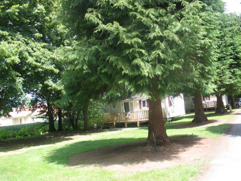 La Cazine Limosín - Noth visuel 2/8 La Cazine Limosín - Noth visuel 2/8