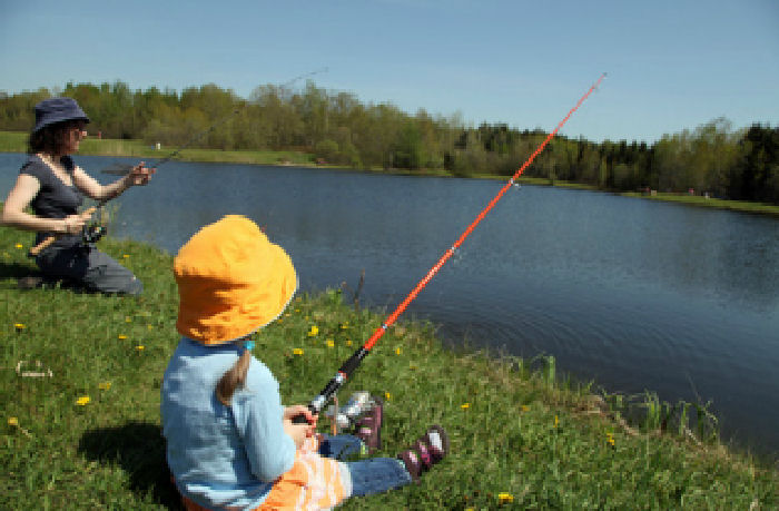 La Cazine Limosín - Noth visuel 8/8 La Cazine Limosín - Noth visuel 8/8