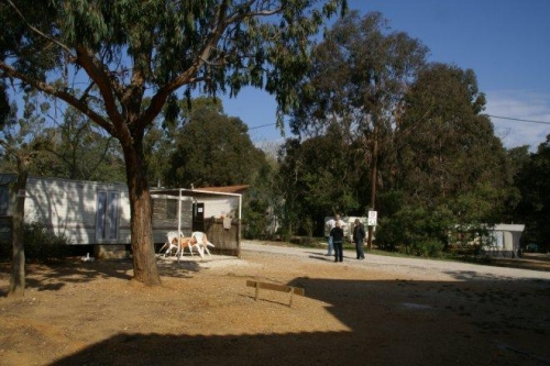 La Celinette Provenza-Alpes-Costa Azul - Bormes-les-Mimosas visuel 1/1