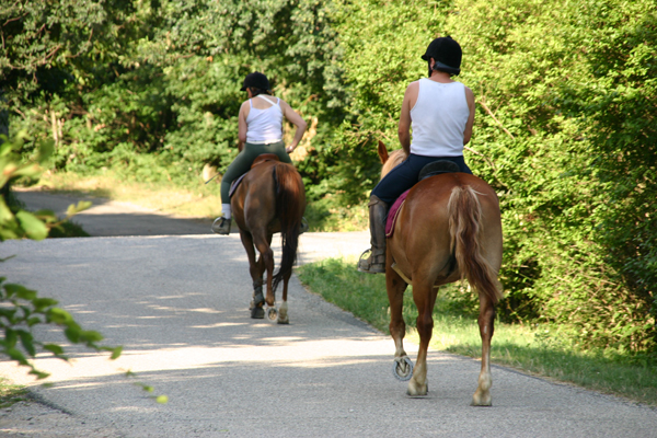 La Châtaigneraie Ródano-Alpes - Anneyron visuel 5/10
