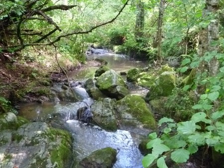 La Chazalet  Ródano-Alpes - Saint-Julien-Labrousse visuel 4/4
