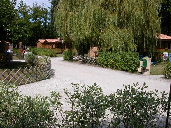 La Cigale Aquitania - Arès visuel 4/10