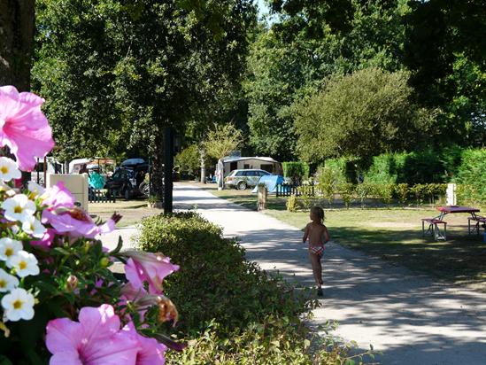 La Cigale Aquitania - Arès visuel 6/10