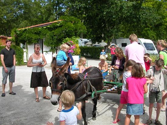 La Cigale Aquitania - Arès visuel 8/10