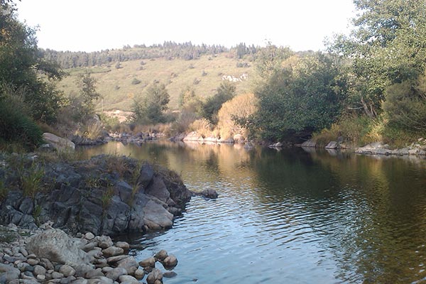 La Cigale de l'Allier Languedoc-Rosellón - Langogne visuel 7/7 La Cigale de l'Allier Languedoc-Rosellón - Langogne visuel 7/7