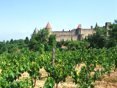 La Cité Languedoc-Rosellón - Carcassonne visuel 4/10 La Cité Languedoc-Rosellón - Carcassonne visuel 4/10