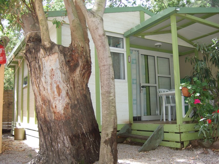 La Clé des Champs Córcega - Calvi visuel 5/7 La Clé des Champs Córcega - Calvi visuel 5/7