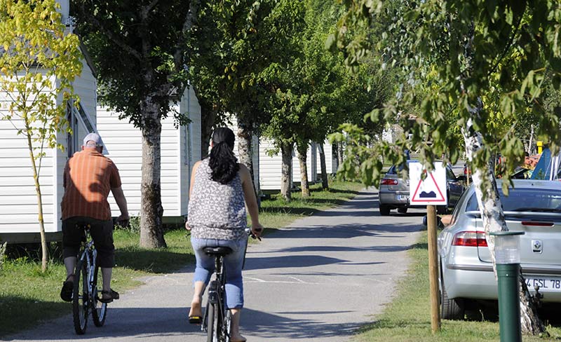 La Clé des Champs Poitou-Charentes - Les Mathes-La Palmyre visuel 8/11
