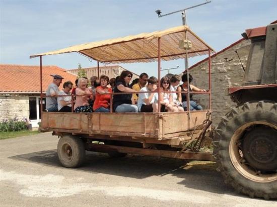 La Clé des Champs Países del Loira - Luçon visuel 3/8 La Clé des Champs Países del Loira - Luçon visuel 3/8