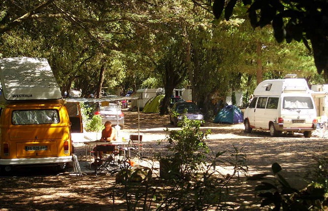 La Clère Países del Loira - Noirmoutier-en-l'Île visuel 3/3 La Clère Países del Loira - Noirmoutier-en-l'Île visuel 3/3