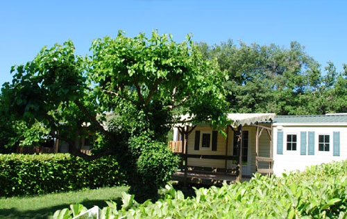 La Combe Languedoc-Rosellón - Barjac visuel 4/5