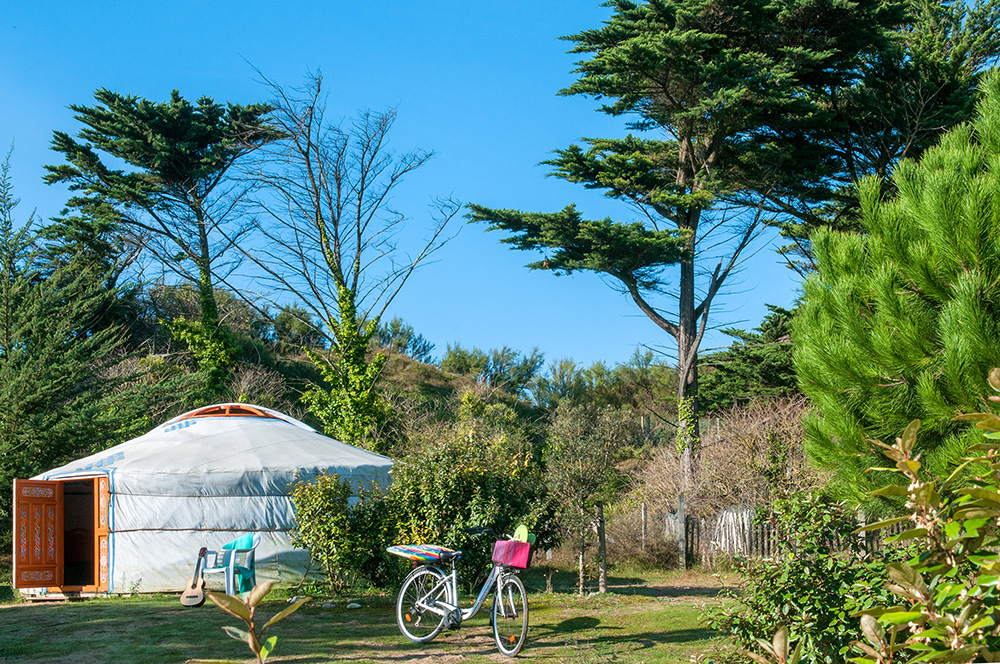 La Côte Sauvage Poitou-Charentes - Saint-Clément-des-Baleines visuel 9/17 La Côte Sauvage Poitou-Charentes - Saint-Clément-des-Baleines visuel 9/17