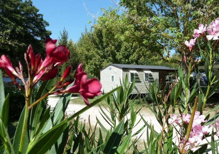 La Coutelière Provenza-Alpes-Costa Azul - Lagnes visuel 3/8 La Coutelière Provenza-Alpes-Costa Azul - Lagnes visuel 3/8