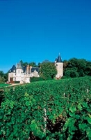 La Croix d'Arles Champaña-Ardenas - Bourg visuel 10/10