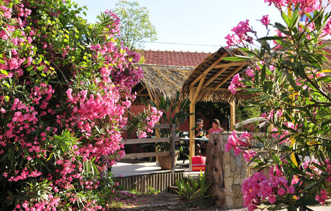 La Croix du Sud Provenza-Alpes-Costa Azul - Ramatuelle visuel 6/10 La Croix du Sud Provenza-Alpes-Costa Azul - Ramatuelle visuel 6/10