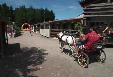 La Dive Países del Loira - Saint-Michel-en-l'Herm visuel 6/10 La Dive Países del Loira - Saint-Michel-en-l'Herm visuel 6/10