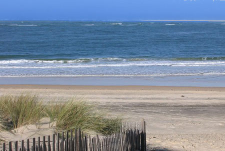 La Dune Aquitania - Pyla sur Mer visuel 10/11