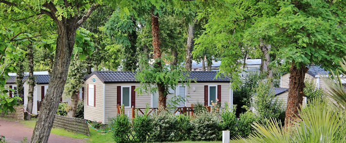 La Ferme Poitou-Charentes - Saint-Augustin visuel 15/27 La Ferme Poitou-Charentes - Saint-Augustin visuel 15/27