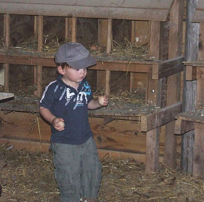 La Ferme de la Marlière Bourgogne - Saint-Vincent-en-Bresse visuel 2/2 La Ferme de la Marlière Bourgogne - Saint-Vincent-en-Bresse visuel 2/2