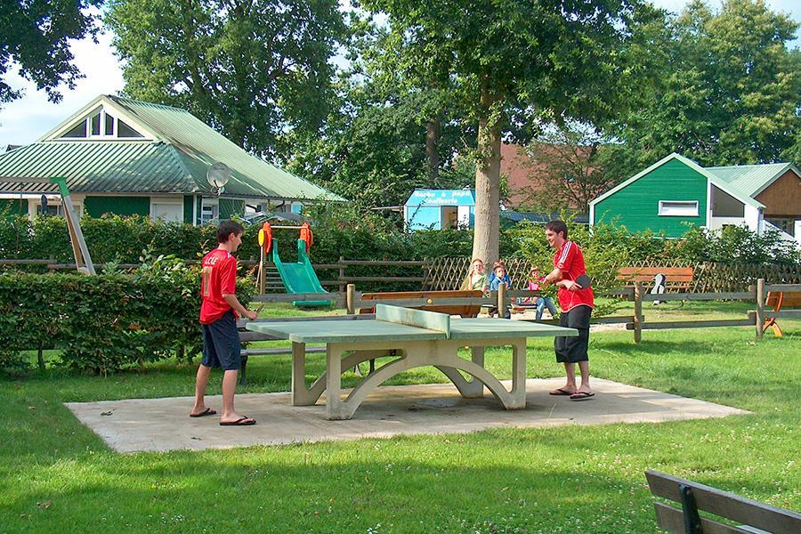 La Forêt Alta Normandía - Jumièges visuel 6/10